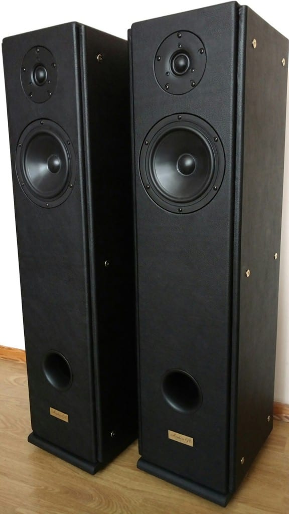 Audio GE Sincerus 80 Loudspeakers Hifi Pig