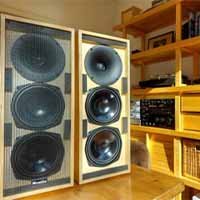 New British Brand Mycetias Audio