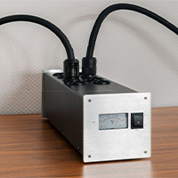 TAGA Harmony PF-1000DC Power Filter