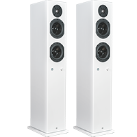 Totem Acoustic KIN PLAY Tower