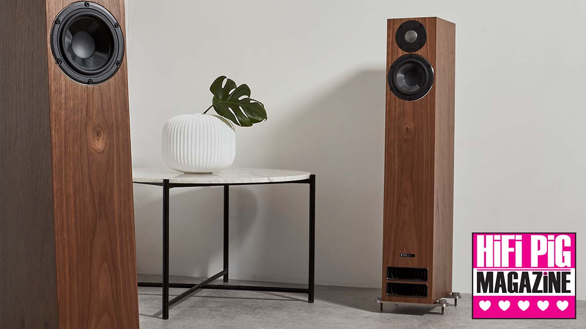 www.hifipig.com