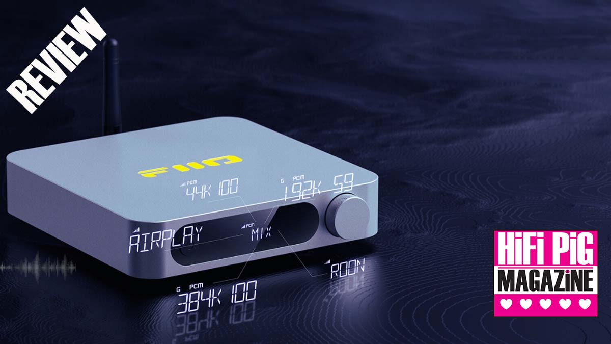 FiiO SR11 Desktop Streamer | Hifi Pig
