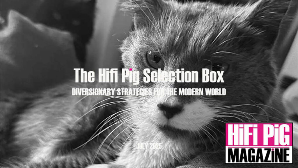The HiFi PiG Selection Box July 2025