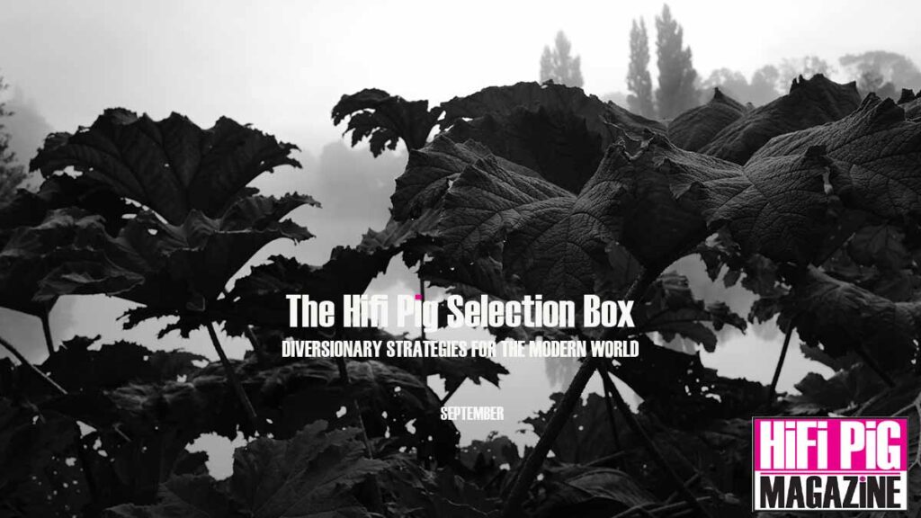 The HiFi PiG Selection Box September 2025