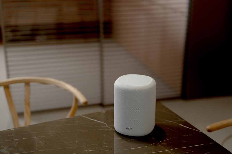 WiiM Sound Lite Smart Speaker