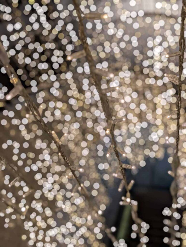 Børresen M8 Gold Signature Loudspeaker And Aavik M-880 Mono Amplifier Launch Event with audio group denmark