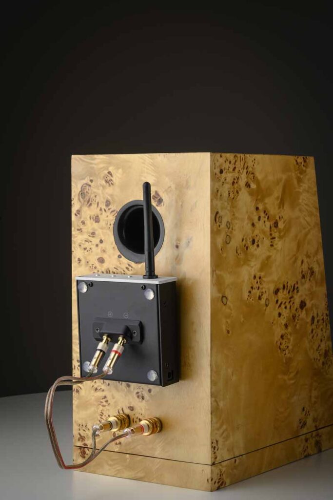 Pro-Ject Stream Box E And Pro-Ject Wireless Box E