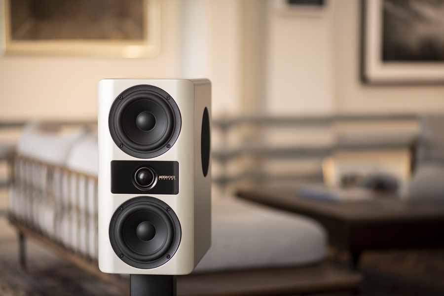 Accuvoice Stream S3 Smart Speaker System