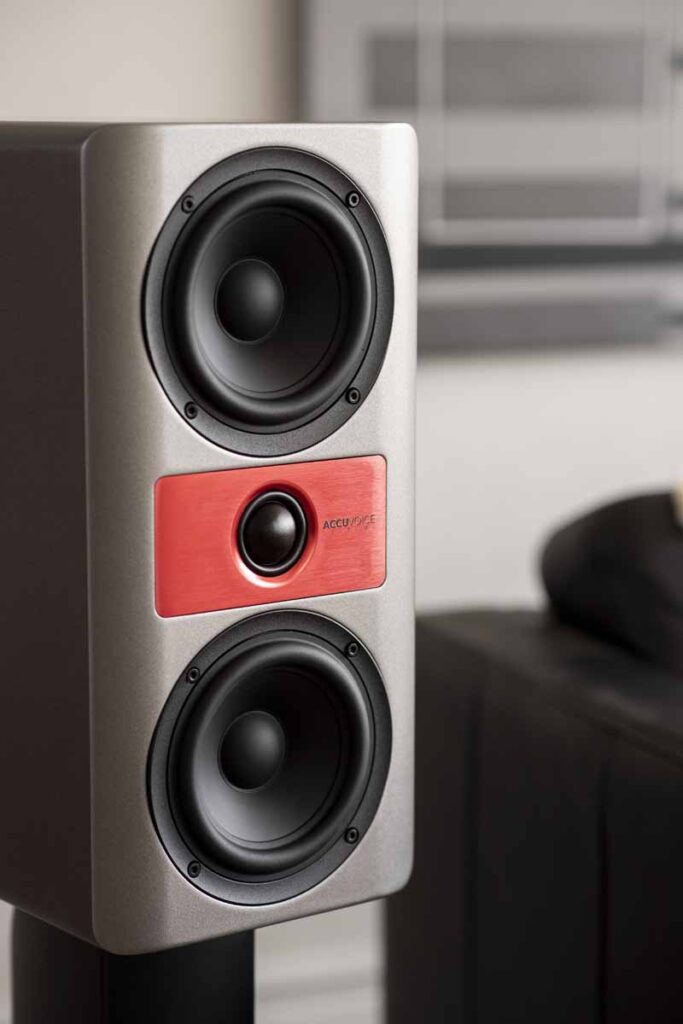 Accuvoice Stream S3 Smart Speaker System