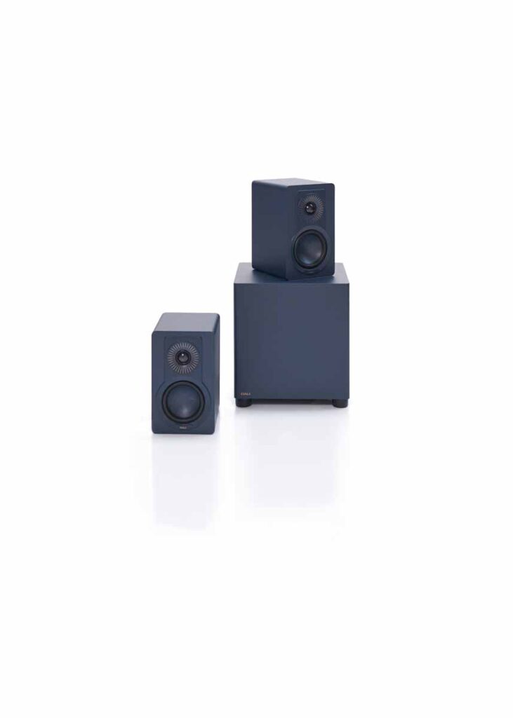 DALI BASIK SUB Compact Active Subwoofer