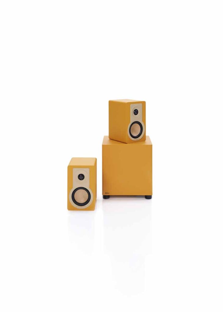 DALI BASIK SUB Compact Active Subwoofer